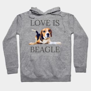 Love Is Beagle Hoodie